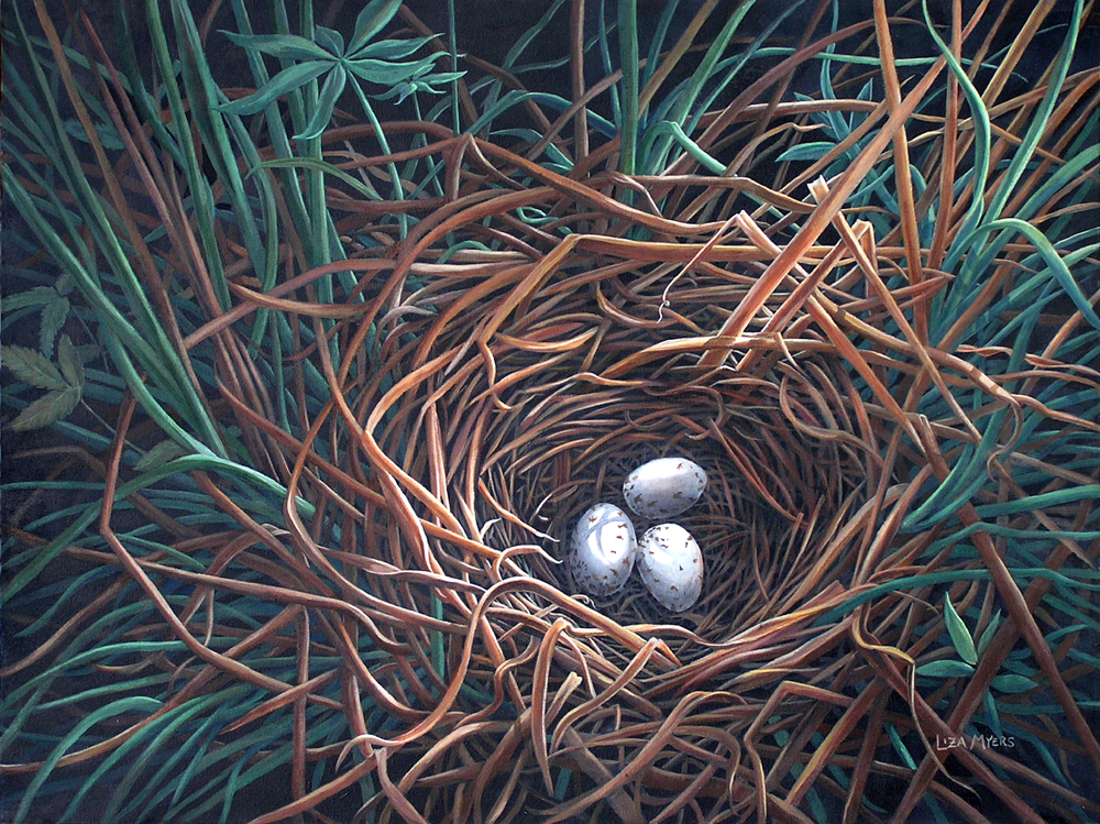 Marsh Nest acrylic, 30" x 40" 