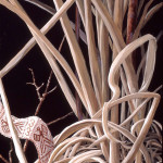 Why Nests?