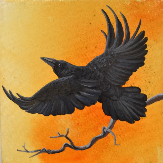 Raven in Flight