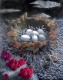 Thumbnail: Shard Nest