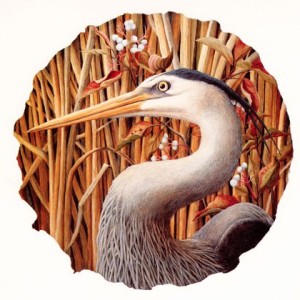 Heron with Red Osier Dogwood by liza myers Archival reproduction from original watercolor is available.