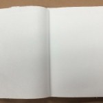 Portfolio book: to Publish or not to Publish?